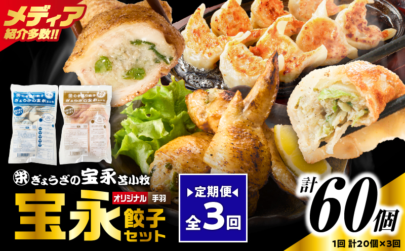 【定期便・全3回 毎月】手包み餃子 ぎょうざの宝永 手羽餃子20個セット（宝永餃子15個入×1袋・手羽餃子5個入×1袋）　T004-T06-01-02