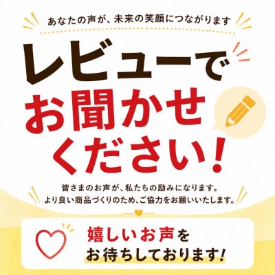 【2026年6月から順次発送・化粧箱】JA厳選のアップルマンゴー1kg(2〜3玉)【配送不可地域：離島】【1494042】