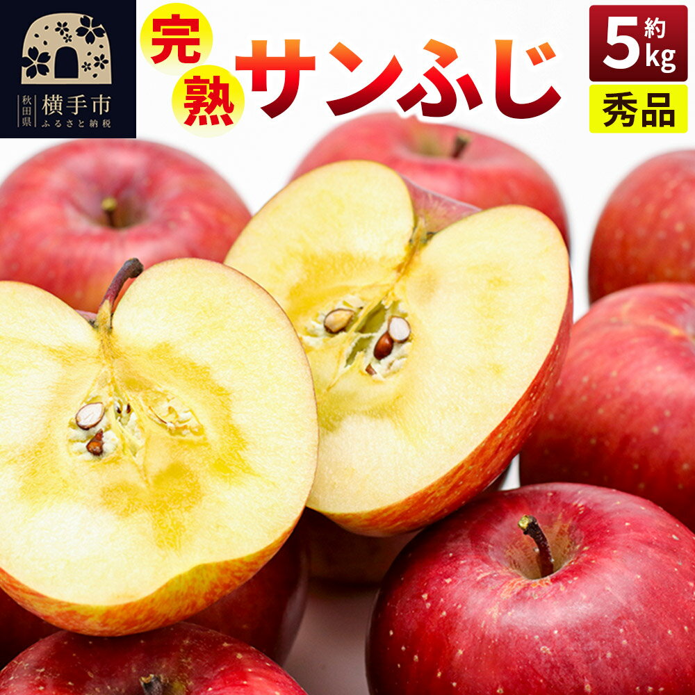 【ふるさと納税】完熟サンふじ秀品 約5kg（16〜20個入）りんご