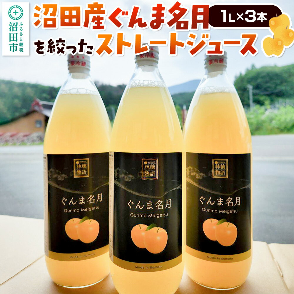 【ふるさと納税】沼田産ぐんま名月だけを搾ったストレートリンゴジュース 3本セット 真田りんご園 [林檎 りんご リンゴ apple アップル あっぷる 果汁100％ ストレート]