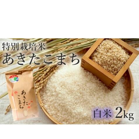 米 あきたこまち 2kg 令和7年産 白米 精米 こめ お米 おこめ 令和7年 特別栽培米 産地直送 ご飯 ごはん 秋田こまち 秋田 秋田県 能代市 特別栽培 減農薬