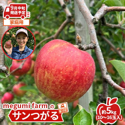 【ふるさと納税】【9月中旬クール便発送】青森県鰺ヶ沢町産りんご megumi farmのサンつがる 家庭用 約5kg（10～16玉入） 果物類 フルーツ 人気 産地直送 世界自然遺産 酸味 甘口 安全 安心 　お届け：2025年9月10日～2025年9月15日