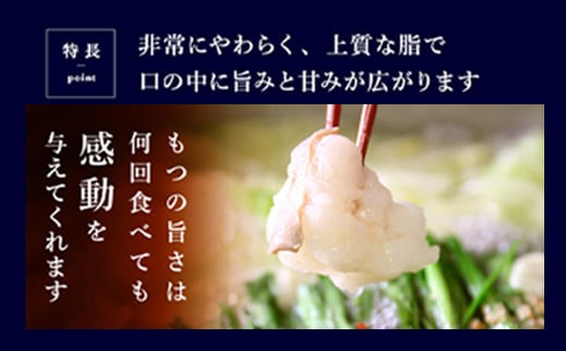 もつ鍋 セット 4~5人前 塩とんこつ 【陽はまたのぼる】