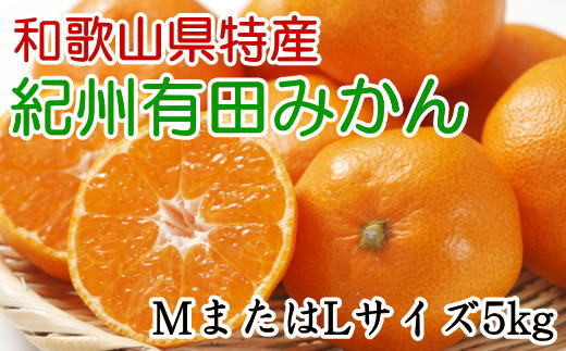 [秀品]和歌山有田みかん　5kg(MサイズまたはLサイズのいずれか) ※2026年11月中旬～2027年1月中旬頃順次発送（お届け日指定不可）【tec834B】