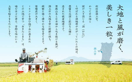 《先行予約》 白米 あきたこまち 令和7年産 30kg(5kg×6)  5kg袋 小分け 米 グルメ ふるさと こめ コメ 一人暮らし  【秋田のこまち農場】