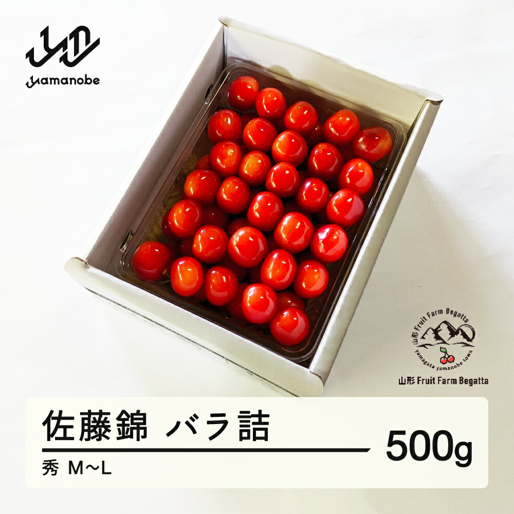 【ふるさと納税】 《先行予約》2025年 山形県産 さくらんぼ 佐藤錦 バラ詰 500g 秀 M〜L F20A-896 ※沖縄・離島への配送不可