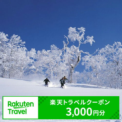 【ふるさと納税】北海道名寄市の対象施設で使える楽天トラベルクーポン 寄付額10,000円