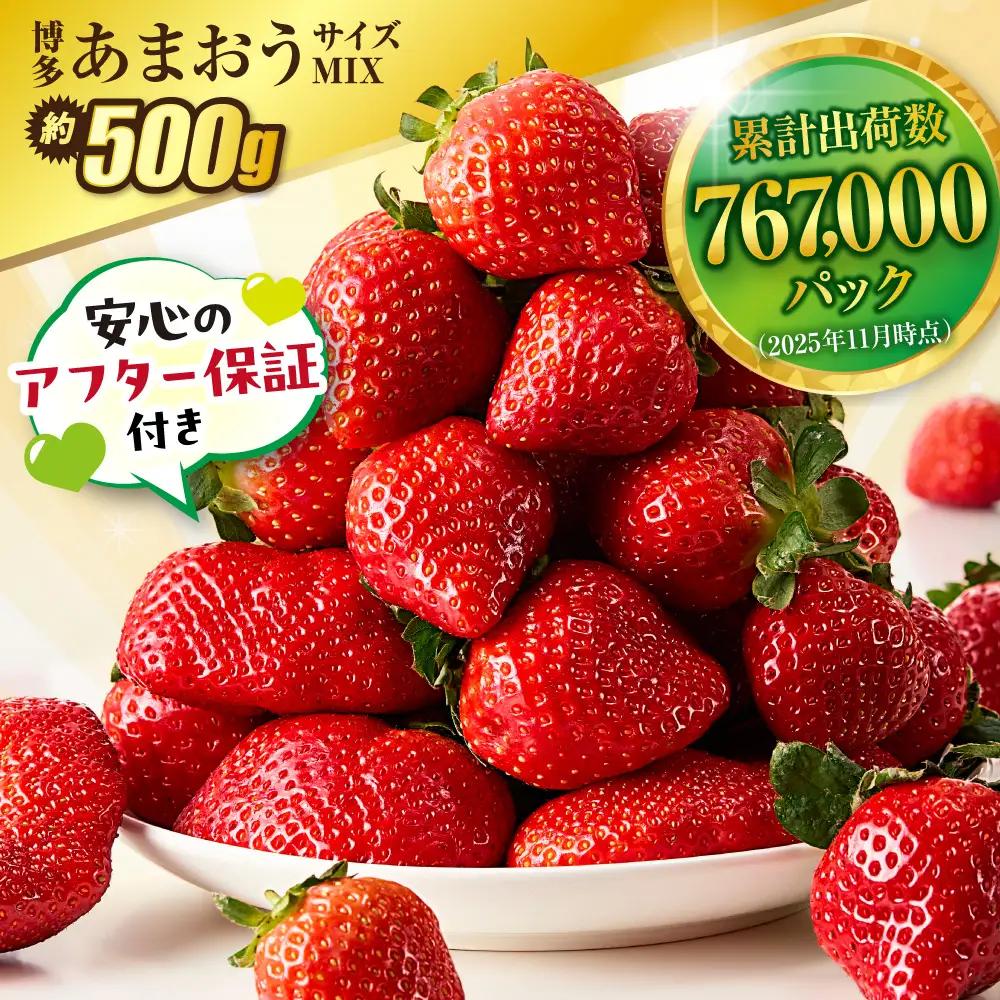 【先行予約】【アフター保証】 「博多あまおう」約250g×2パック【2月上旬～3月発送】【JAほたるの里】_HA1937 ふるさと 納税 果物 フルーツ 甘い イチゴ 苺 あまおう デザート 旬 手土産 プレゼント いちご 博多あまおう 福岡県　福岡県宗像