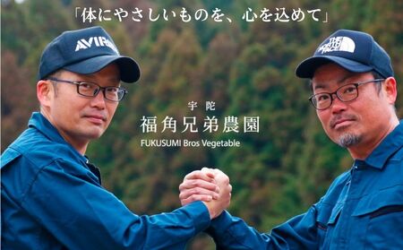 ＜定期便6回＞ 奈良県宇陀市産 紫菊芋タブレット【90g×1袋（約30日分）】 ／ ふるさと納税 福角兄弟農園 菊芋 タブレット 菊芋粉末 イヌリン豊富 食物繊維 健康習慣 無添加 血糖値対策 腸活 