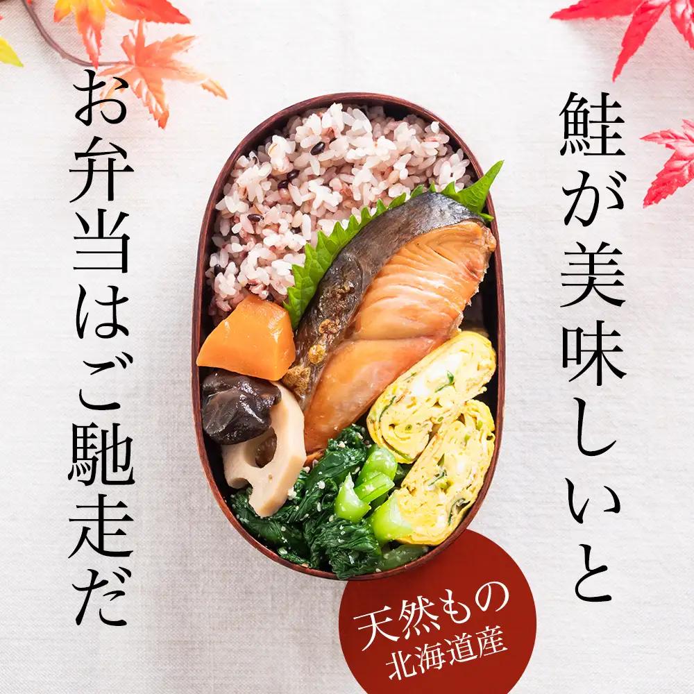 ☆北海道産 塩サケ切り身 6kg