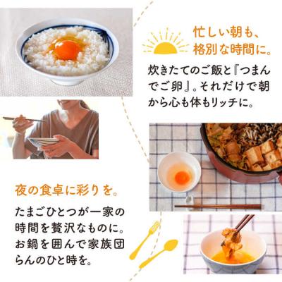 ふるさと納税 糸島市 【プリップリな卵黄!】つまんでご卵 40個セット 鶏卵 たまご 糸島/緑の農園 [AGA011] |  | 02