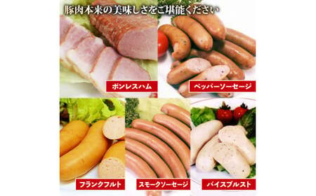 ウィンナー フランクフルト 無塩せき 5種 セット ソーセージ ハム 900g 詰め合わせ 国産 豚肉 添加物不使用 阿波美豚 ギフト 贈答品 リーベフラウ ソーセージ 徳島県 
