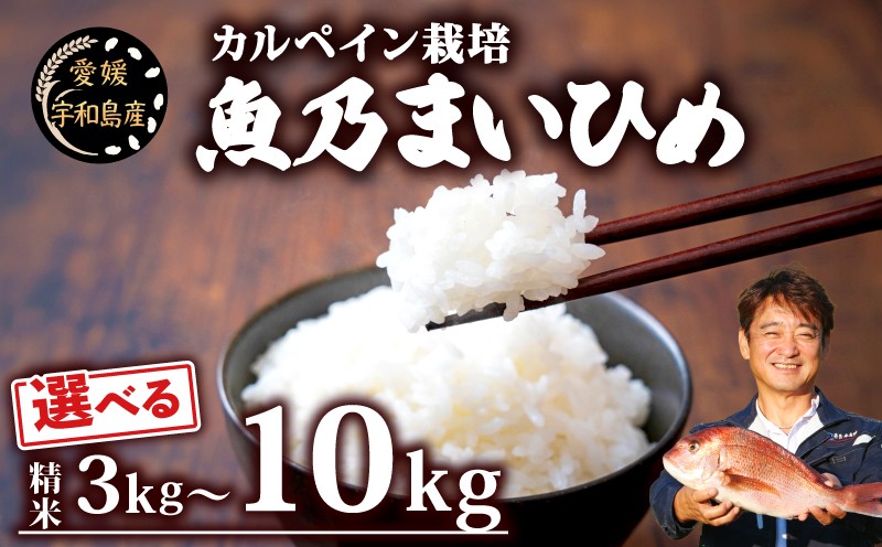 
                  令和8年産 新米 コシヒカリ 魚乃まいひめ カルペイン栽培 選べる 容量 計 3kg ～ 計 10kg ( 5kg × 2袋 ) 精米 秀長水産 三間米 お米 米 環境保全 カルペイン 鯛 真鯛 魚肥 使用 こめ コメ kome 小分け お弁当 弁当 美味しい 防災 産地直送 数量限定 国産 愛媛 宇和島 G010-016006~008
                