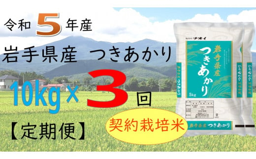 【3ヶ月定期便】令和5年産　岩手県産つきあかり10kg 【1143】