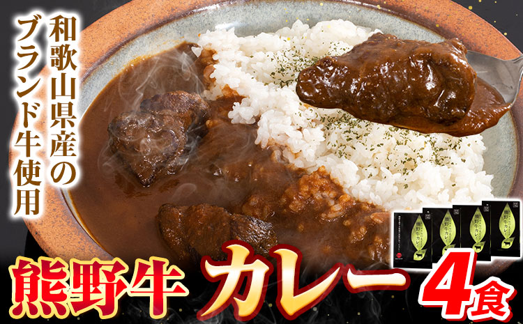 牛肉 熊野牛 カレー 4食セット 株式会社Meat Factory《30日以内に出荷予定(土日祝除く)》和歌山県 日高川町 熊野牛 牛 和牛 焼肉 希少部位 ミスジ 焼肉---wshg_mfy37_3