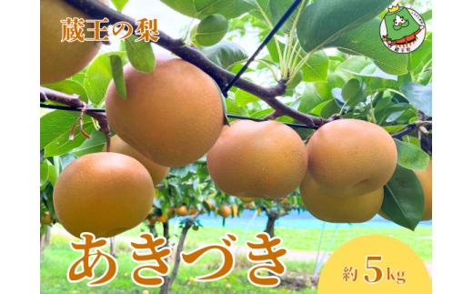【先行予約】宮城蔵王の梨「あきづき」約5kg　【04301-0819】梨 なし 果物 くだもの スイーツ フルーツ デザート 甘い ジューシー 蔵王