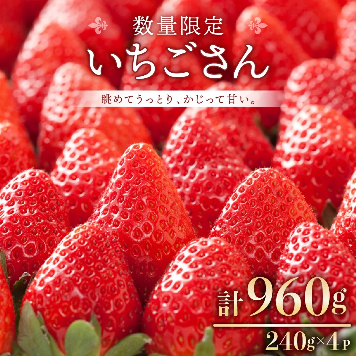 佐賀県産 いちごさん 240g×8p