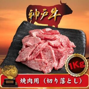 訳あり 神戸牛 焼肉(切り落とし)　500g×2　計1000g　SOY2S【配送不可地域：離島】【1517915】