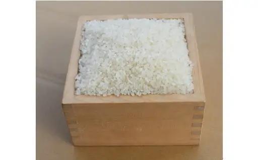 A129 【定期便】阿武川源流米きぬむすめ白米60㎏(5kg×12回)