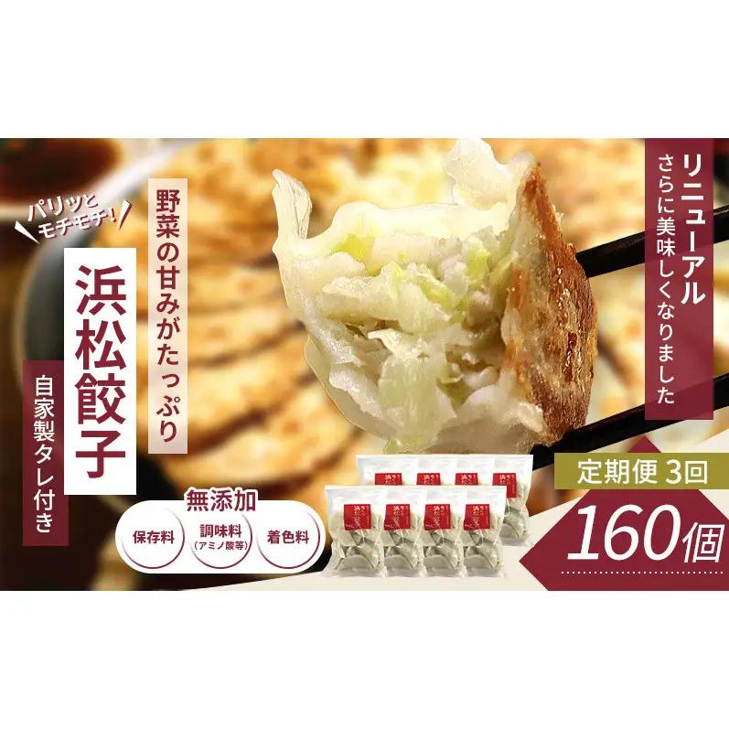 【定期便3回】浜松餃子 160個 (20個×8袋) セット 詰め合わせ 餃子のたれ 小袋 知久屋 国産 ぎょうざ 餃子 ギョーザ 冷凍餃子 冷凍ギョーザ 工場直送 ヘルシー あっさり 惣菜 中華 点心 静岡 浜松市 【配送不可：離島】