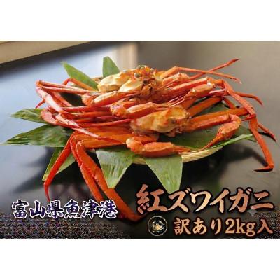 ふるさと納税 魚津市 【訳あり】自社漁船直送!魚卸問屋のベニズワイガニ 2kg
