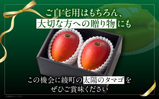 【全2回お届け】太陽のタマゴ 2L×2玉［T20］定期便 フルーツ 果物 くだもの 2027年 完熟マンゴー 国産 宮崎マンゴー マンゴージュース 南国フルーツ おすすめ デザート ギフト 贈り物 プ