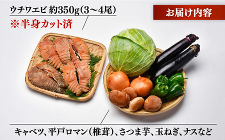 ウチワエビBBQセット?安心の地元野菜付【株式会社ひらど新鮮市場】[KAB106]/ 長崎 平戸 魚介類 海老 えび エビ ウチワエビ 野菜 BBQ セット キャベツ 椎茸 しいたけ サツマイモ 玉ね