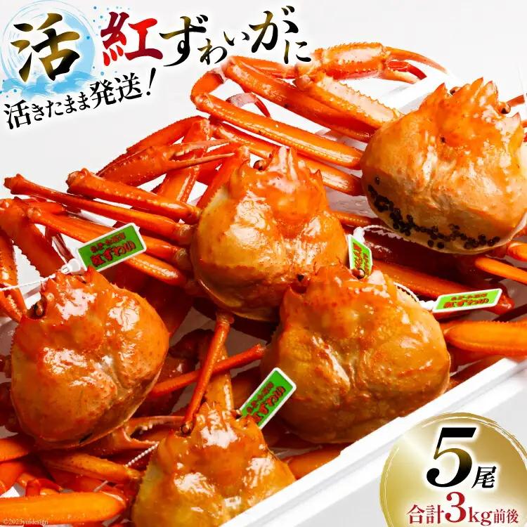 【能登半島 漁協直送】 活 紅ズワイガニ (中サイズ） 5尾 計3kg前後 [JF西海 石川県 志賀町 AM4218]