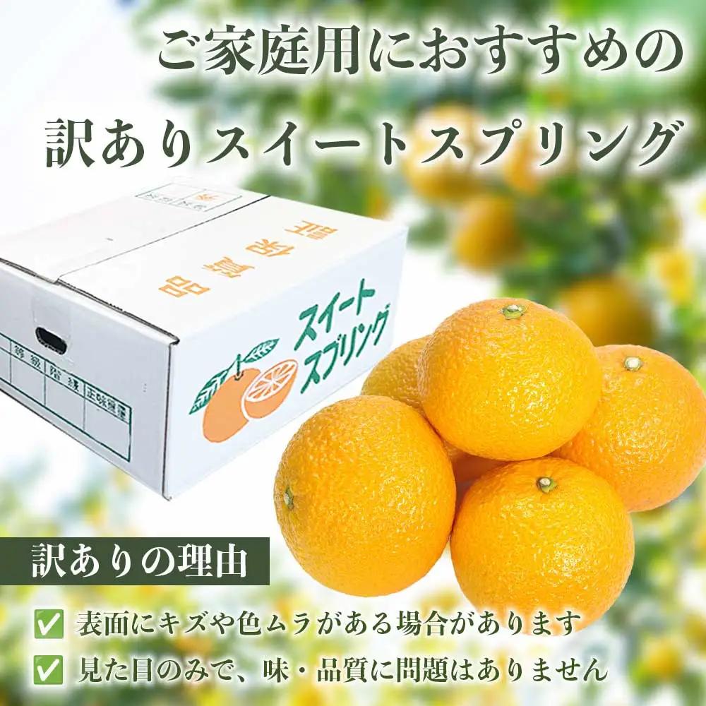 先行予約 訳ありスイートスプリング みかん 約5㎏ 【2027年1月中旬～2027年3月上旬発送予定】