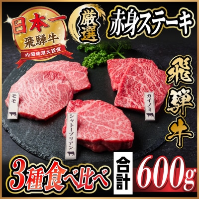 飛騨牛　赤身ステーキ3種食べ比べセット　計約600g(シャトーブリアン・カイノミ・モモステーキ)【配送不可地域：離島】