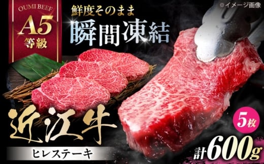 ステーキ 近江牛 ヒレ ステーキ 120g×5 滋賀県長浜市/株式会社元祖鳥宗亭 [AQCS009] 肉 牛肉 近江牛 ヒレ ステーキ にく お肉 和牛 国産牛肉 ブランド牛 国産 ギフト プレゼント 贈答 人気 霜降り 焼肉 ステーキ肉 バーベキュー BBQ ヒレ肉 フィレ ヒレ 瞬間冷凍 新鮮 希少部位 高級 A5 A5ランク 高品質 柔らかい 赤身 赤身肉 日本三大和牛