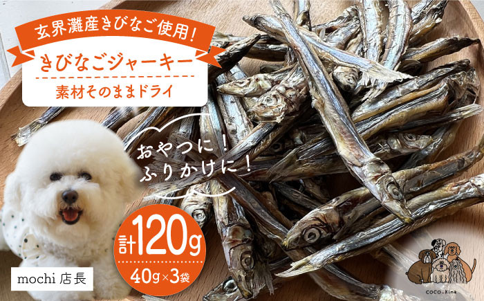 
きびなご ジャーキー 40g×3袋 糸島市 / 株式会社コバヤシ【coco.kina】 [ASL009]
