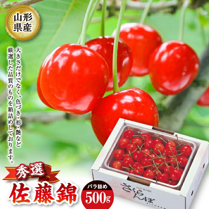 【ふるさと納税】 《先行予約 2025年度発送》佐藤錦 秀選バラ詰め【500g】 FSY-2205