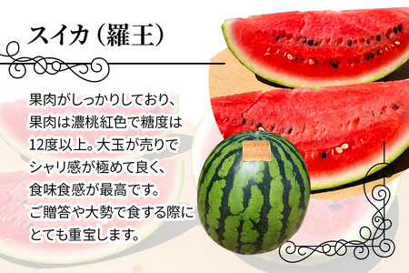 【先行予約】[羅王・紅まくら] スイカ 食べ比べ 2玉セット｜西瓜 [0620]