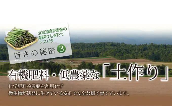 【2027年春発送】グリーン・ホワイト アスパラ セット サイズ混合【2kg】100本前後 野菜 アスパラガス 大容量