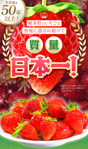 苺 とちあいか 2P | 栃木県下野市