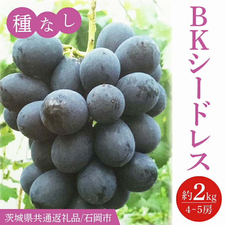 【ふるさと納税】2026年9月より順次発送 BKシードレス 約2kg（4〜5房）茨城県共通返礼品/石岡市 葡萄 ぶどう フルーツ 果物 くだもの 水戸市 茨城県　(IT-19)