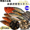 【ふるさと納税】【緊急支援品】季節のおさかなおまかせセット　3kg相当 鮮魚 魚介 冷蔵 新鮮 旬 島根県 出雲市