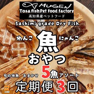 ふるさと納税 東洋町 【毎月定期便】高知の魚100%魚のおやつわんにゃんペットフード旬の5種アソート 犬猫用おやつ全3回