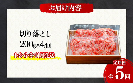 ＜定期便5回＞とちぎ和牛の切り落とし 800g × 5回 総計約4kg【栃木県共通返礼品】| 和牛 定期便 栃木県 茂木町