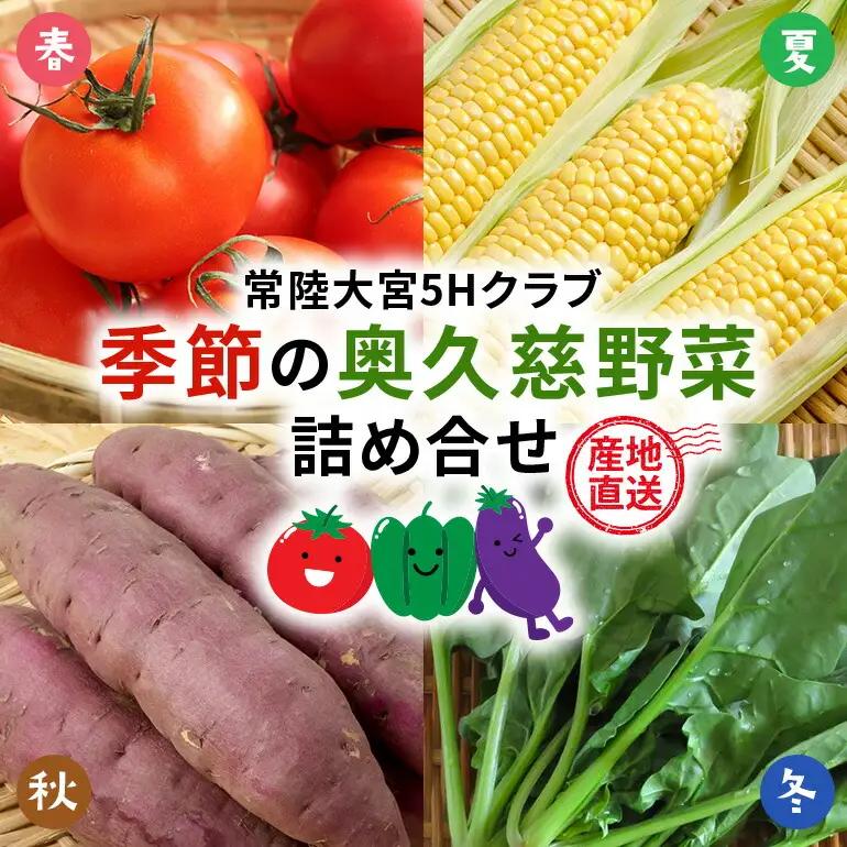 野菜セット 季節の奥久慈野菜 詰め合せセット（春、夏、秋、冬） 特産 詰め合わせ 旬 直送 【野菜セット】【ho1483】
