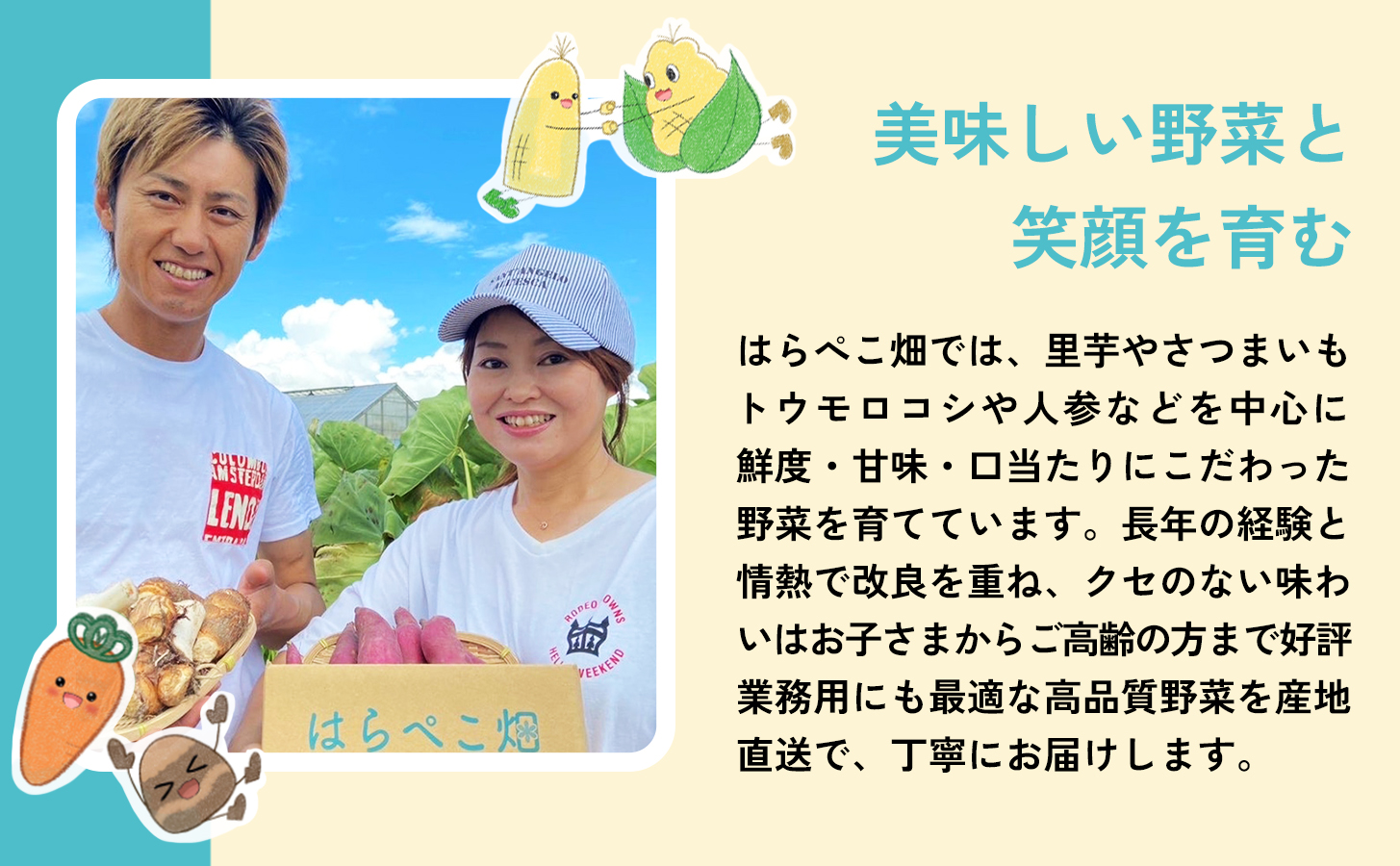 【ねっとり甘い蜜芋】さつまいも 紅はるか（4.5kg×3箱）合計13.5kg・H104