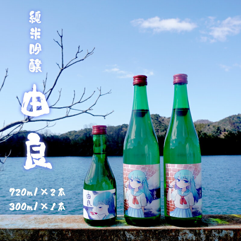 【ふるさと納税】 純米吟醸 由良 720ml×2本 300ml×1本 日本酒 3本セット 辛口 地酒 限定パッケージ 贈答 熨斗
