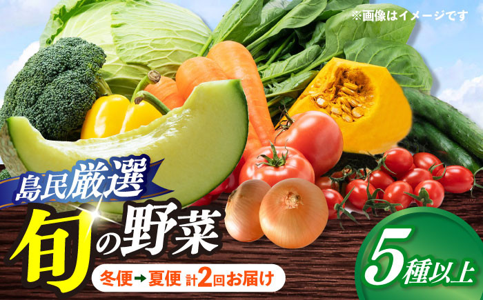
                  【8月〜10月先行受付】【冬季初回発送】小値賀島で育った新鮮野菜おまかせセット　冬季1回・夏季1回お届け [DAB081]
                