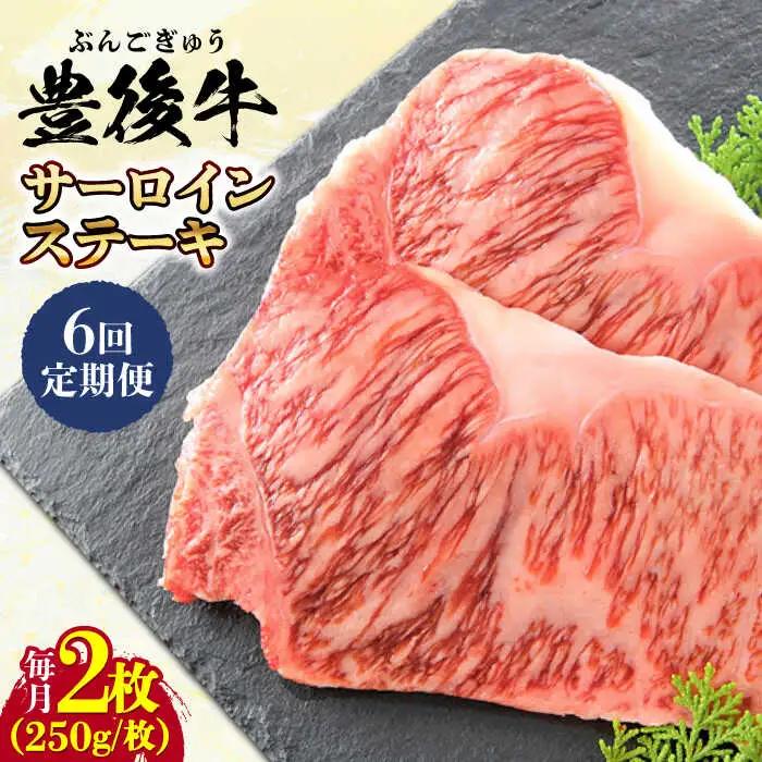 【全6回定期便】おおいた豊後牛 サーロインステーキ 500g (250g×2枚) サーロインステーキ [AREI057]