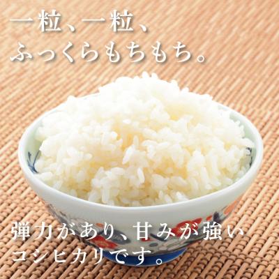 ふるさと納税 鳥取市 有機栽培米 |  | 02