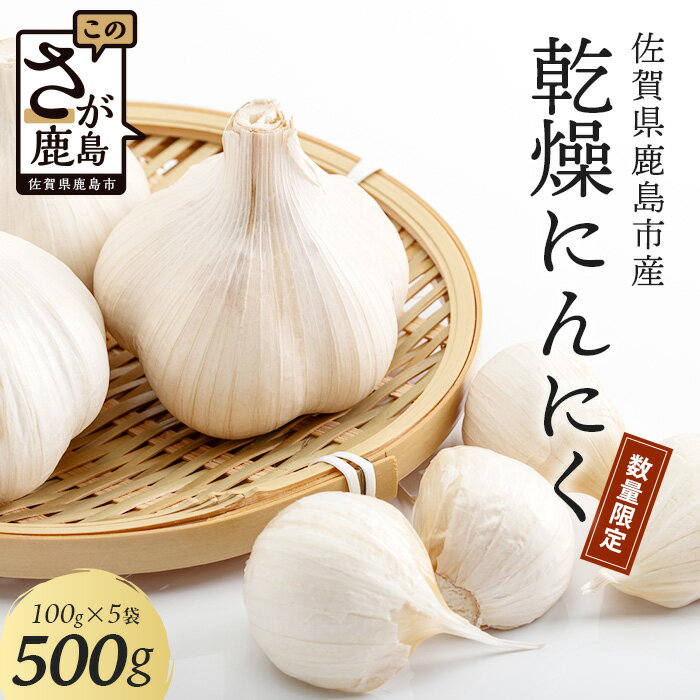 【ふるさと納税】数量限定★辻農園直送 佐賀県産 乾燥にんにく500g（100g×5袋）｜健康志向・料理好きに人気！万能食材◎6月下旬〜発送【A-181】