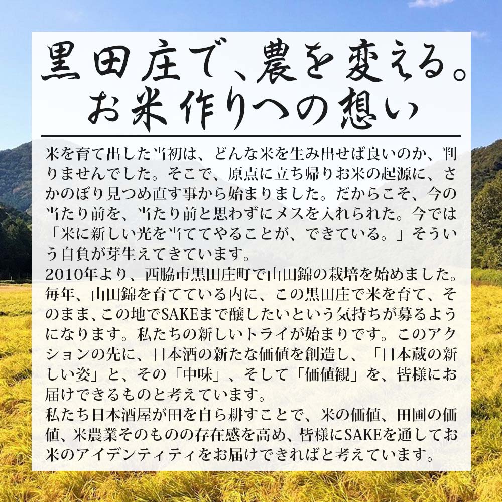【醸し人九平次】飲み比べ３本セット② 彼の地・human・山田錦（各720ml）　～西脇市産山田錦・純米大吟醸～　42-2