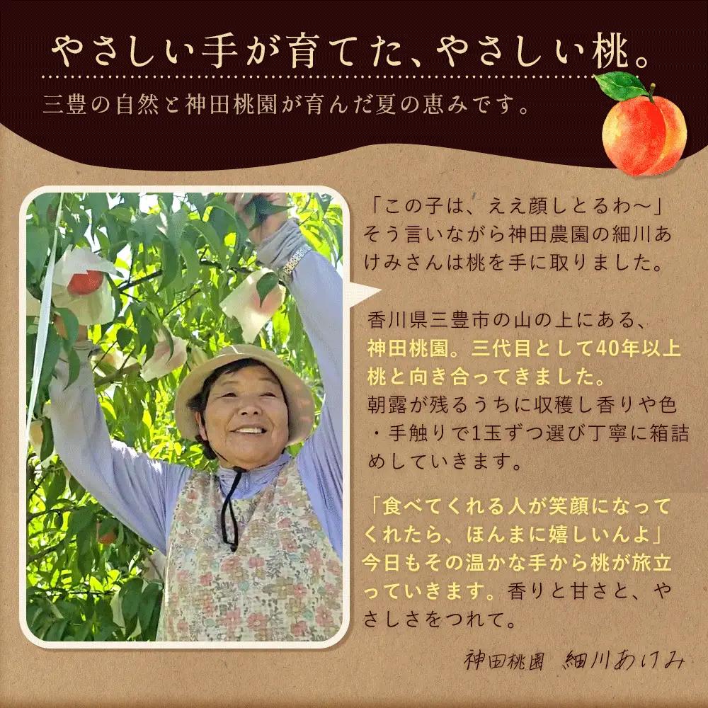 【ふるさと納税】 桃 産地直送 「神田桃園の白桃」 約3kg  [ フルーツ 名産品 桃 もも モモ 白桃 果物 くだもの お取り寄せグルメ 三豊市 20000 20, 返礼品 神田桃園 ] ※配送不