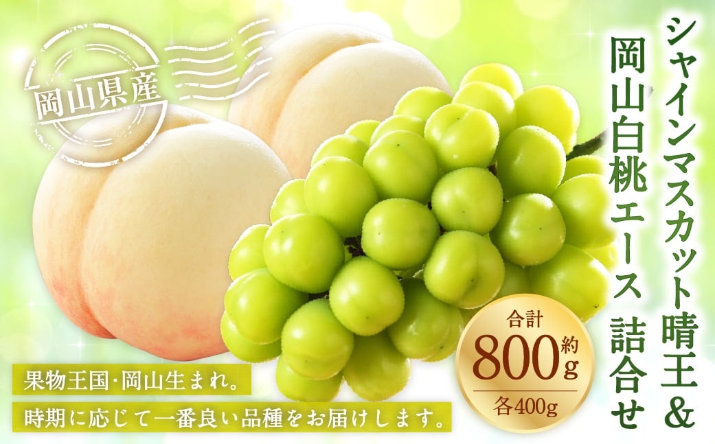 岡山県産 岡山白桃 エース Lサイズ 約200g×2玉・ シャインマスカット 晴王 約400g×1房 詰合せ 白桃 モモ もも 桃 ぶどう ブドウ 葡萄 マスカット くだもの 果物 果実 フルーツ 国産 家庭用 ギフト 贈り物 贈答 【 2026年7月上旬～8月下旬発送予定 】
